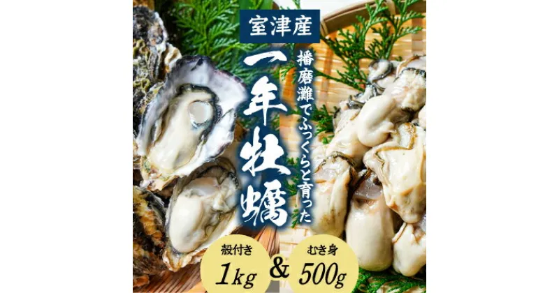 【ふるさと納税】H-12【12月〜3月限定】 室津産むき身牡蠣500g＋殻付き1kg