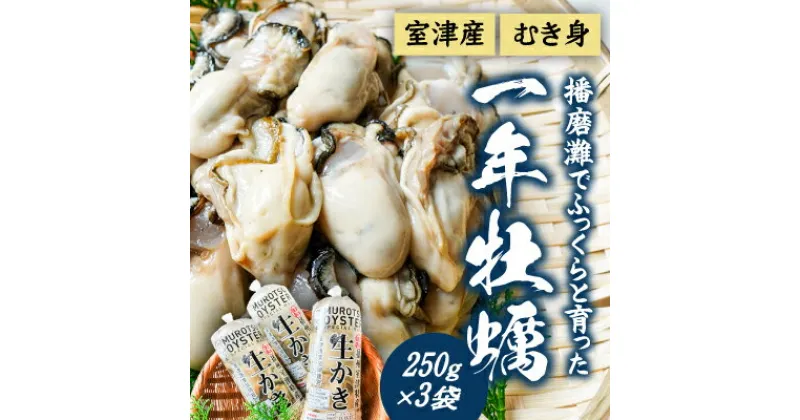 【ふるさと納税】H-13【12月〜3月限定】 室津産むき身牡蠣250g×3袋