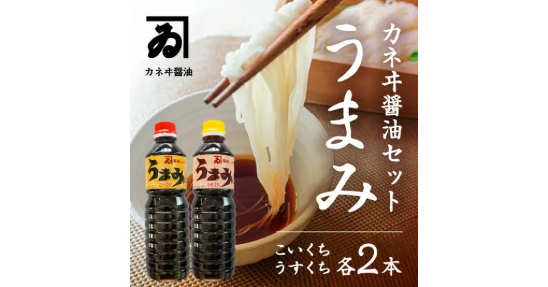 【ふるさと納税】H-88【明治2年創業 カネヰ醤油】風味醤油「うまみ」こいくち・うすくち各500ml×2本セット