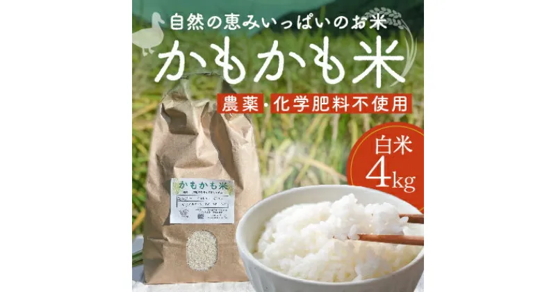 【ふるさと納税】H-37【農薬・化学肥料不使用】循環農法で育てた自然の恵みいっぱいの『かもかも米(白米4kg)』