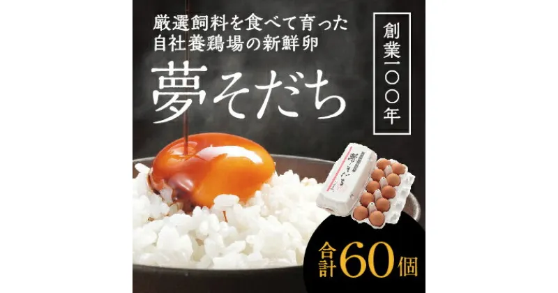 【ふるさと納税】H-56 創業100年の藤橋商店が育んだ「夢そだち(60個）」厳選飼料を食べて育った自社養鶏場の新鮮卵を♪