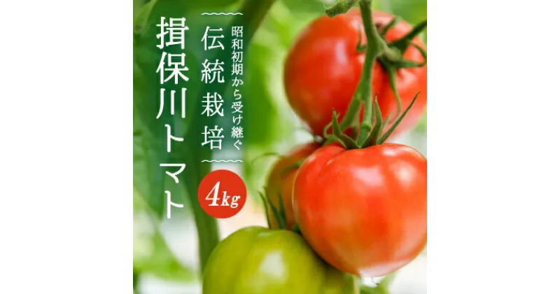 【ふるさと納税】G-9【昭和初期から受け継ぐ伝統栽培】酸味と甘みのバランスがよい「揖保川トマト」4kg【発送時期：12月～6月】