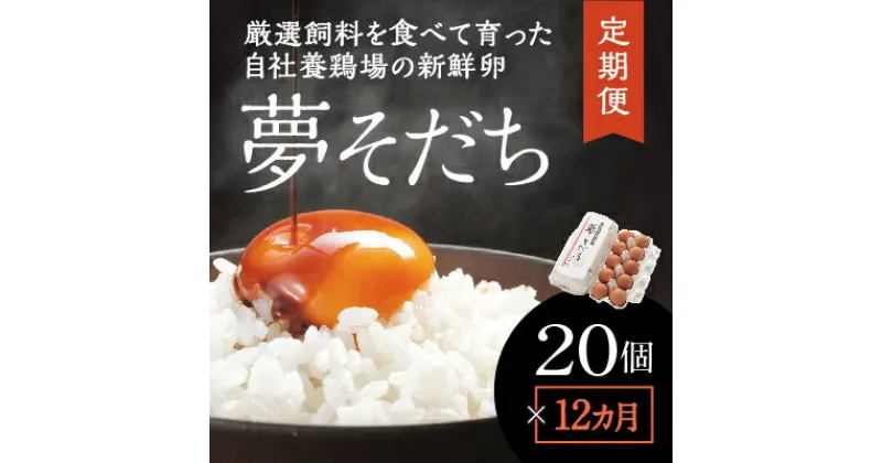 【ふるさと納税】S-8【12カ月定期便】お届け日時の指定必須「夢そだち20個」厳選飼料を食べて育った自社養鶏場の新鮮卵を♪