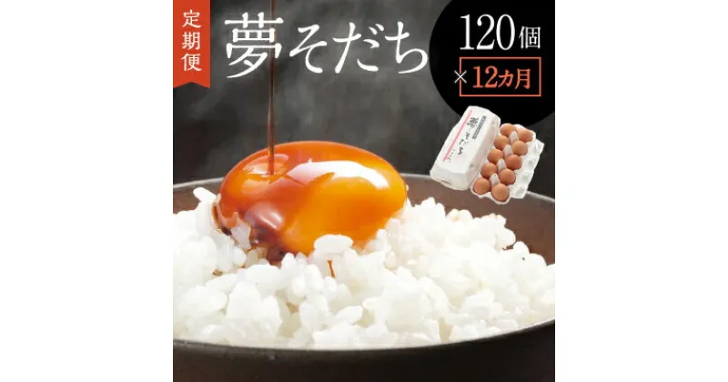 【ふるさと納税】C-3【12か月定期便】お届け日時の指定可能「夢そだち120個」厳選飼料を食べて育った自社養鶏場の新鮮卵を♪