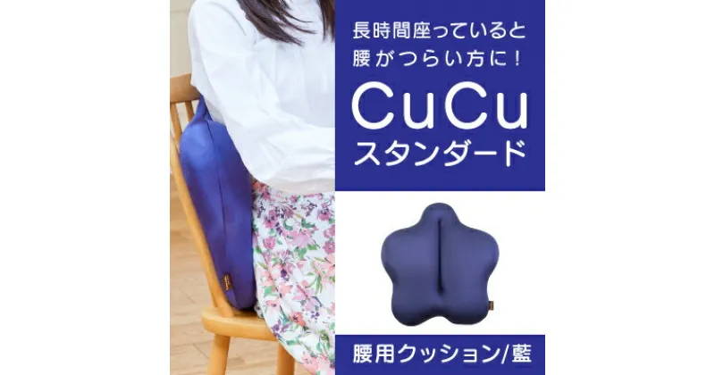 【ふるさと納税】H-21【腰用クッション】CuCuスタンダード(藍)