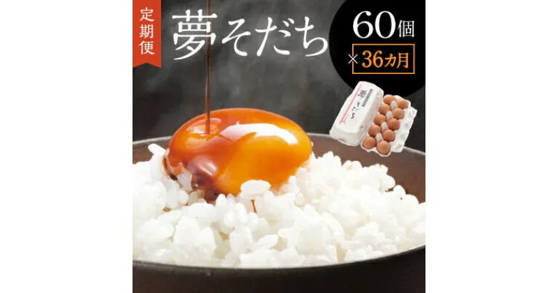 【ふるさと納税】【36か月定期便】「夢そだち60個」厳選飼料を食べて育った自社養鶏場の新鮮卵を♪(B-4)