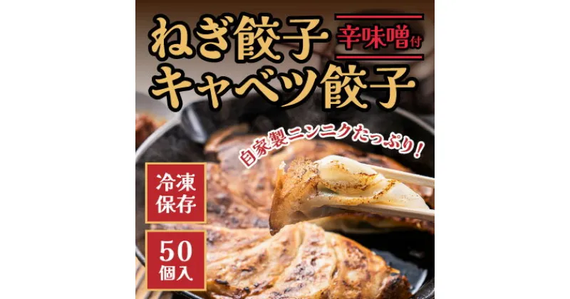 【ふるさと納税】H-151 ネギ農家直営「ギョーザ中華そば専門店」の餃子！ねぎ餃子・きゃべつ餃子 50個入り 辛味噌付き