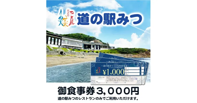 【ふるさと納税】 H-200　道の駅みつ　ととなや　食事券（3,000円分）