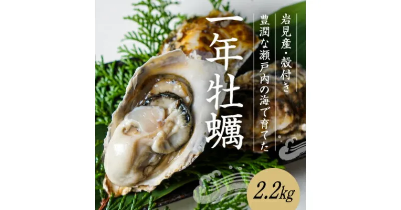 【ふるさと納税】H-160【12月18日〜3月限定】岩見産殻つき牡蠣2.2kg