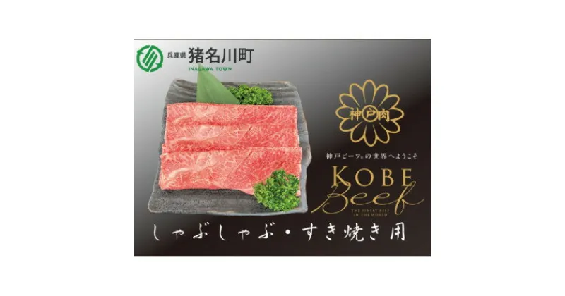 【ふるさと納税】神戸ビーフ　すき焼き・しゃぶしゃぶ用　500g　INGWS2【配送不可地域：離島】【1431602】