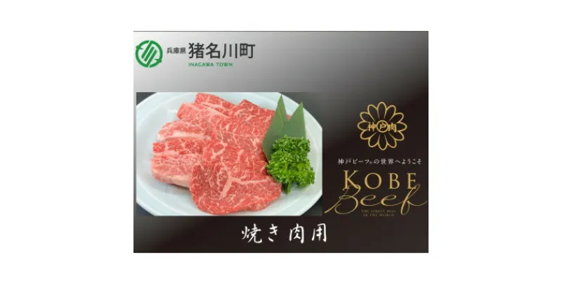 【ふるさと納税】神戸ビーフ　焼肉用　500g　INGWY2【配送不可地域：離島】【1431603】