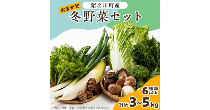 【ふるさと納税】猪名川町産・おまかせ「冬野菜セット」合計約3～5kg(6種類以上)【配送不可地域：離島】【1497822】