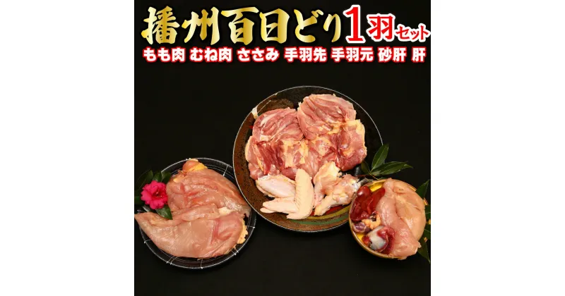 【ふるさと納税】多可の播州百日どり1羽セット[009] 鶏肉 もも肉 むね肉 ささみ 手羽先 手羽元 肝 砂肝 1羽分 播州百日どり 冷蔵