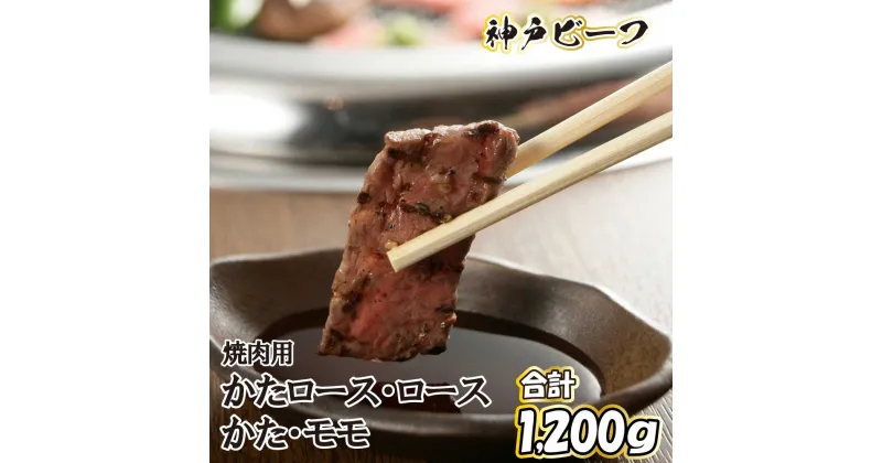 【ふるさと納税】神戸ビーフ 焼肉用セット TKYS5 [615] 神戸牛 太田家 太田牧場