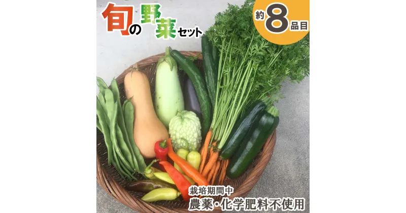 【ふるさと納税】農場なつめやし　旬の野菜セット（栽培期間中、農薬・化学肥料不使用）[814]