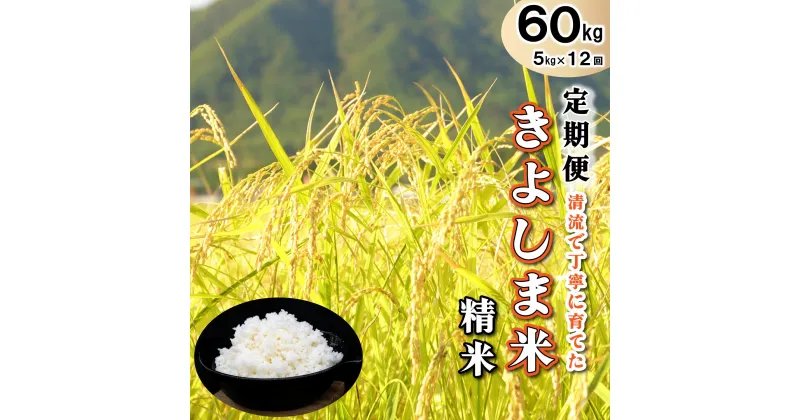 【ふるさと納税】米【定期便】きよしま米【精米】5kg×12か月[826] 米 白米 単一原料米 国産