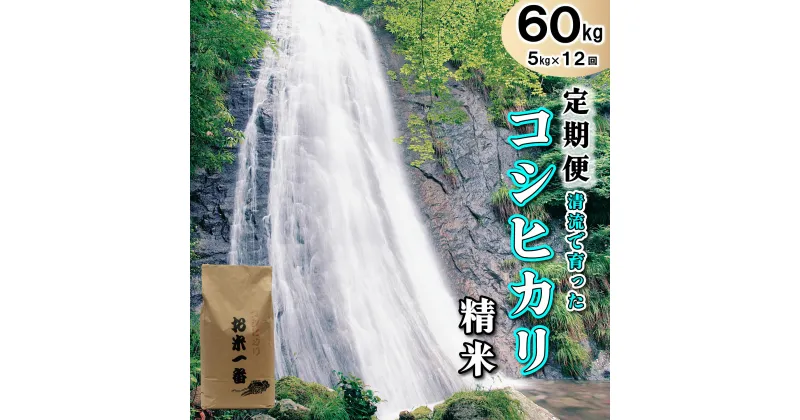 【ふるさと納税】米 【定期便】多可町加美区の清流で育ったコシヒカリ【精米】5kg×12か月[833]