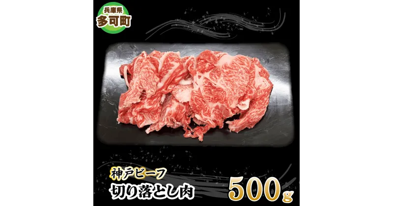 【ふるさと納税】神戸ビーフ 切り落とし肉 TKS1(500g)[875] 神戸牛 太田家 太田牧場