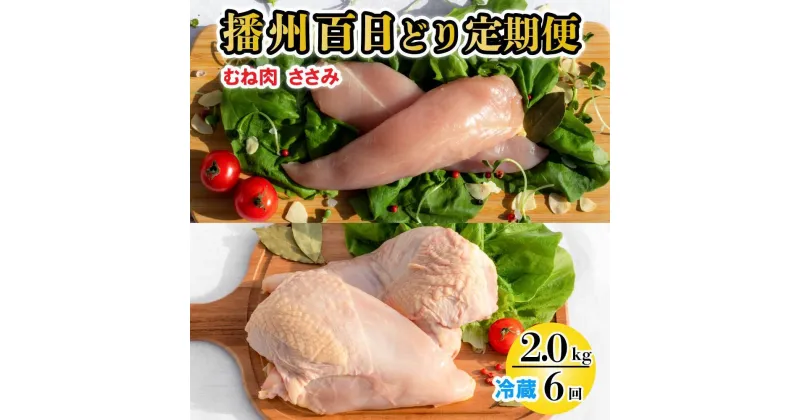 【ふるさと納税】播州百日どり ヘルシーセット 6回 定期便 [837] 鶏肉 むね肉 ささみ 冷蔵