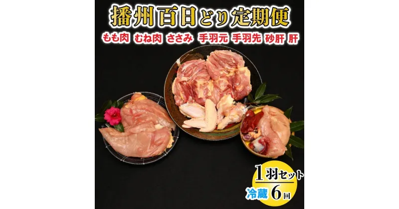 【ふるさと納税】播州百日どり 1羽 セット 6回 定期便 [839] 鶏肉 もも肉 むね肉 ささみ 手羽先 手羽元 肝 砂肝 冷蔵