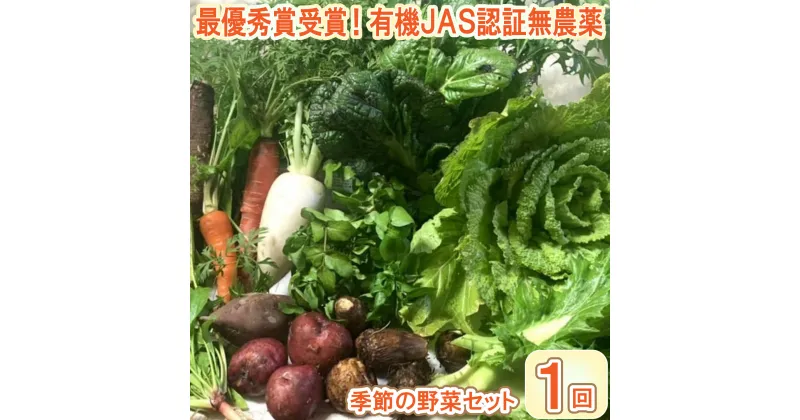 【ふるさと納税】【最優秀賞受賞！甘味＆栄養】有機JAS認証の無農薬、チヨちゃんの野菜1回のみ[952]