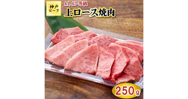 【ふるさと納税】TK040神戸牛上ロース焼肉250g [1072]