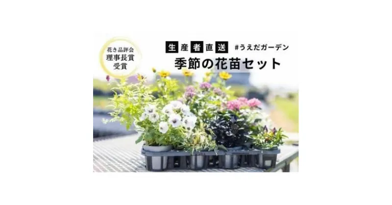 【ふるさと納税】花 季節の花苗 セット 花き品評会理事長賞受賞 花苗 生産者直送 庭 ガーデニング 花壇 苗 苗木 花の苗 花の苗物 配送不可：北海道・沖縄・離島　 苗物