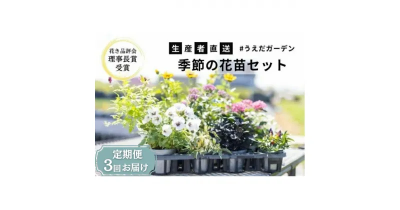 【ふるさと納税】花 定期便 3ヶ月季節の花苗 セット 花き品評会理事長賞受賞 花苗 生産者直送 庭季節の花苗セット ガーデニング 花壇 苗 苗木 花の苗 花の苗物 定期 お楽しみ 3回 お届け　定期便・稲美町