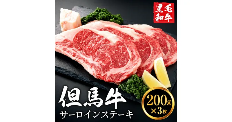 【ふるさと納税】但馬牛 サーロインステーキセット 600g （200g×3枚）3人前 黒毛和牛 ステーキ肉 いちかわ精肉店 経産牛 牛肉 国産 bbq バーベキュー 焼肉 ステーキ サーロイン 赤身 肉 冷凍 焼き肉用 020AA02N.