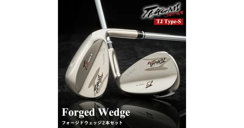 【ふるさと納税】TAKUMI JAPAN TYPE S ウェッジ 2本セット（AW、SW）NSPRO MODUS3 WEDGE / 軟鉄鍛造 フォージド ウェッジ 国産 ゴルフクラブ ゴルフ用品【約3～4ヶ月で発送予定】360BA01N.