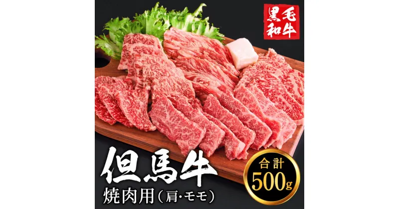 【ふるさと納税】但馬牛 焼肉用 肩・モモセット 合計約500g （2〜3人前）/ 焼肉セット 黒毛和牛 いちかわ精肉店 経産牛 牛肉 国産 bbq バーベキュー 焼き肉セット アウトドア キャンプ 冷凍 焼き肉用 010AA05N.