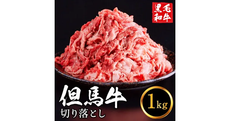 【ふるさと納税】但馬牛 牛肉 切り落とし 1kg 大容量 5~7人前 / 黒毛和牛 いちかわ精肉店 赤身 ヘルシー 経産牛 牛肉 国産 bbq カレー 牛丼 バーベキュー 焼肉 すき焼き煮 アウトドア キャンプ 冷凍 015AA02N.