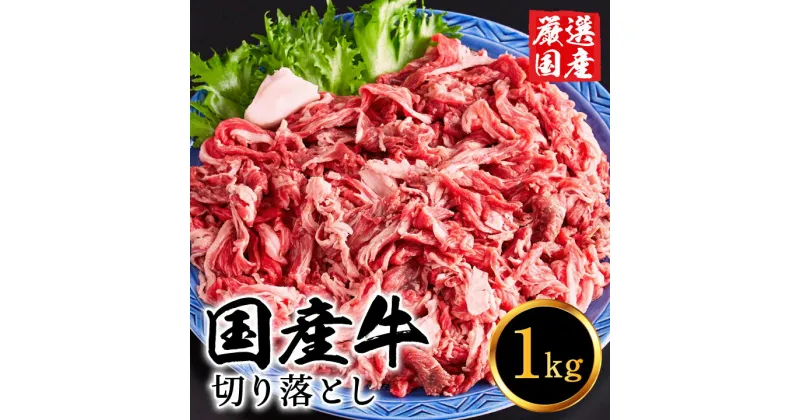 【ふるさと納税】国産牛肉 切り落とし 1kg 大容量 5~7人前 / 堀田畜産 いちかわ精肉店 赤身 ヘルシー 牛肉 国産 bbq バーベキュー 焼肉 アウトドア キャンプ ギフト 贈答品 贈り物 冷凍 010AA08N.