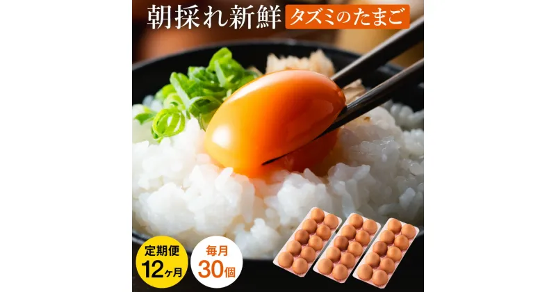 【ふるさと納税】卵かけご飯にも相性抜群！タズミの卵 定期便 全12回 Lサイズ（30個×12ヶ月）/ 合計360個 毎月30個 こだわり卵 市川町産 兵庫県産 たまご たまごかけご飯 玉子 生卵 鶏卵 タマゴ 卵焼き TKG 12か月 097AB01N.