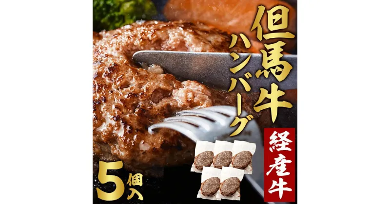 【ふるさと納税】但馬牛 ハンバーグ 5人前 （150g×5個）個包装 牛肉 黒毛和牛 100% 国産 経産牛 和牛 赤身 味付け ほくぶ バーベキュー bbq キャンプ アウトドア 焼肉 小分け 簡単調理 セット 詰め合わせ 詰合せ 冷凍 お弁当 おかず 010AA09N.