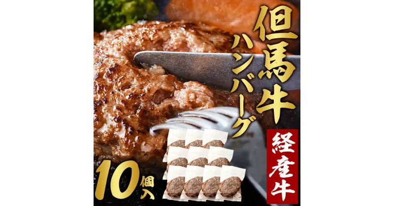 【ふるさと納税】但馬牛 ハンバーグ 10人前 （150g×10個）個包装 牛肉 黒毛和牛 100% 国産 経産牛 和牛 赤身 味付け ほくぶ バーベキュー bbq キャンプ アウトドア 焼肉 小分け 簡単調理 セット 詰め合わせ 詰合せ 冷凍 お弁当 おかず 020AA09N.