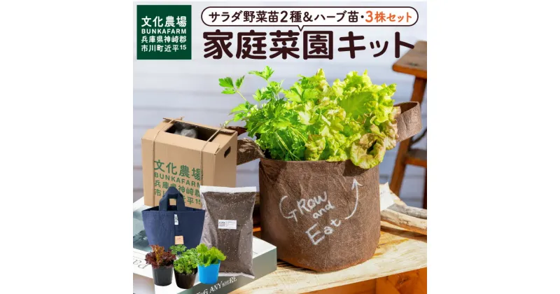 【ふるさと納税】家庭菜園キット サラダ野菜苗2種＆ハーブ苗の3株セット/ プランター ガーデニング 野菜 ハーブ 栽培 ベランダ菜園 野菜苗 培土 園芸 011BK04N.