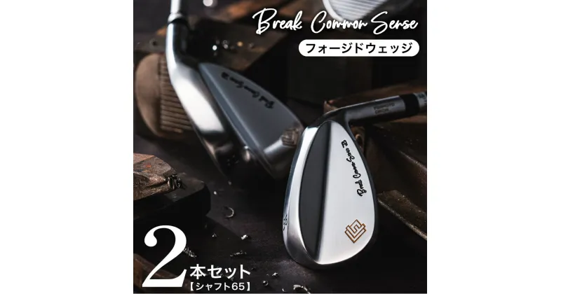 【ふるさと納税】BREAK COMMON SENSE（ブレイクコモンセンス）Fujimoto_BCS Wedge(2set)65 ウェッジ 2本セット / 藤本技工 軟鉄鍛造 ウェッジ 国産 ゴルフクラブ ゴルフ用品 350BE01N.