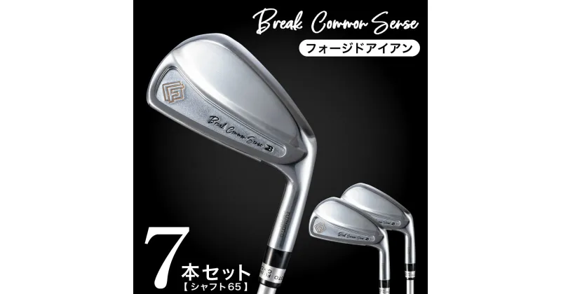 【ふるさと納税】BREAK COMMON SENSE（ブレイクコモンセンス） Fujimoto_BCS iron(7set) 65 アイアン 7本セット / 藤本技工 軟鉄鍛造 アイアン 国産 ゴルフクラブ ゴルフ用品 1200BE01N.