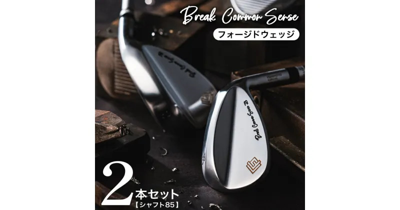 【ふるさと納税】BREAK COMMON SENSE（ブレイクコモンセンス） Fujimoto_BCS Wedge(2set)85 ウェッジ 2本セット / 藤本技工 軟鉄鍛造 ウェッジ 国産 ゴルフクラブ ゴルフ用品 370BE01N.