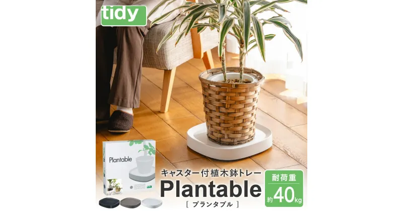 【ふるさと納税】tidy ティディ Plantable（キャスター付植木鉢トレイ） / 台 観葉植物 トレイ プランター 受け皿 受皿 鉢皿 らくらく移動 可動式 軽量 ガーデニング リビング オフィス 玄関 掃除用品 掃除 お掃除 日用品 インテリア 雑貨 おしゃれ 012EB04N.