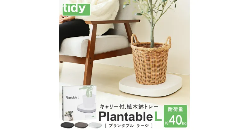 【ふるさと納税】tidy ティディ Plantable L（キャスター付植木鉢トレイ） / Lサイズ 台 観葉植物 トレイ プランター 受け皿 受皿 鉢皿 らくらく移動 可動式 軽量 ガーデニング リビング オフィス 玄関 掃除用品 掃除 お掃除 日用品 インテリア 雑貨 おしゃれ 015EB11N.