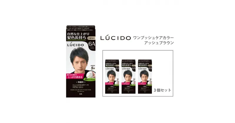 【ふるさと納税】 マンダム ルシード ワンプッシュケアカラー アッシュブラウン 3個セット MA-15[ LUCIDO 毛染め 白髪 カラーリング 男性化粧品 おしゃれ 日用品 ]　美容・アッシュブラウン・ヘアカラーリング・白髪染め・ヘアカラー