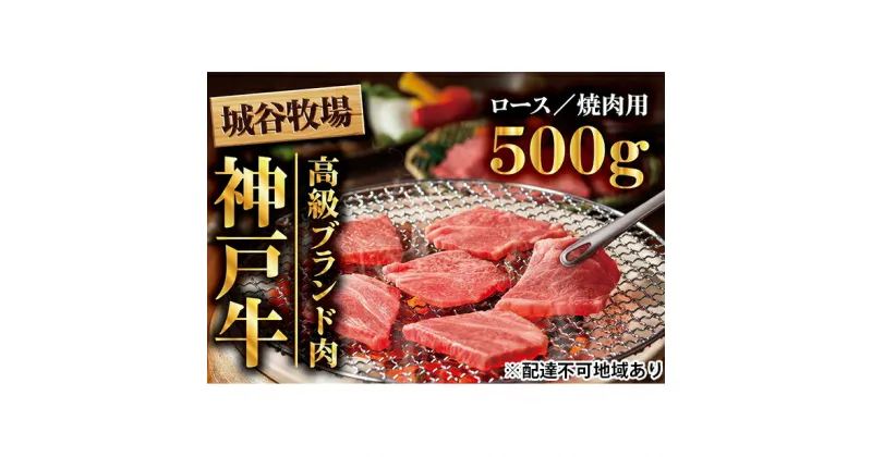 【ふるさと納税】城谷牧場の神戸牛　ロース焼肉用500g　お肉・牛肉・ロース・焼肉・バーベキュー・神戸牛