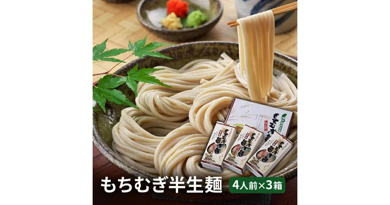 【ふるさと納税】【五つ星ひょうご選定商品】もちむぎ半生麺 4人前×3箱セット　麺類・もちむぎ半生麺・手延べ