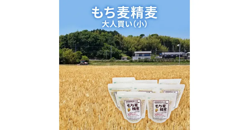 【ふるさと納税】もち麦 精麦 大人買い （小）　 雑穀 加工食品 食物繊維 茹で上げ サラダ トッピング スープ リゾット お料理 ブレンド