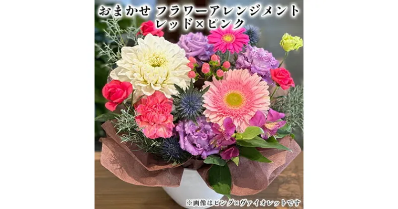 【ふるさと納税】おまかせ フラワーアレンジメント （レッド×ピンク）　 植物 フラワー お花 生花切花