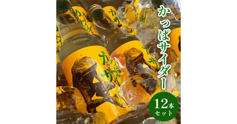 【ふるさと納税】かっぱサイダー（12本セット）　 飲料類 炭酸飲料 サイダー さっぱり 瓶