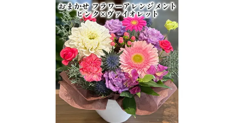 【ふるさと納税】おまかせ フラワーアレンジメント （ ピンク×ヴァイオレット）　 植物 フラワー お花 生花切花