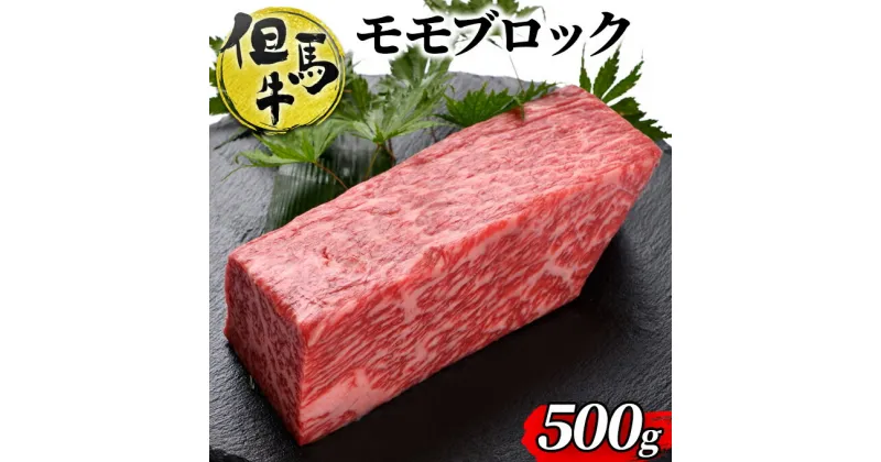 【ふるさと納税】但馬牛ももブロック 500g　[ 牛肉 お肉 ブランド牛 キャンプ BBQ アウトドア バーベキュー ギフト　ローストビーフ ]　 ブランド和牛 高級和牛 和牛 やわらかい 赤み 絶品素材